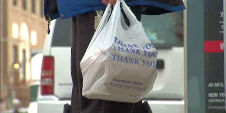Les législateurs new-yorkais concluent un accord interdisant les sacs en plastique à partir de mars 2020 52 Les législateurs new-yorkais concluent un accord interdisant les sacs en plastique à partir de mars 2020