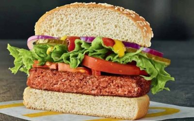 McDonald’s apporte le hamburger sans viande en Allemagne 59 McDonald’s apporte le hamburger sans viande en Allemagne