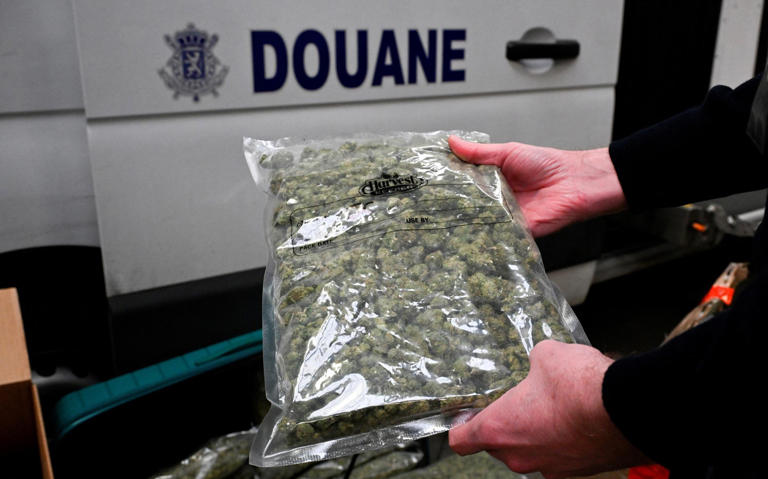 Record quantities of cannabis are flooding into Belgium, with the majority arriving from Canadian farms